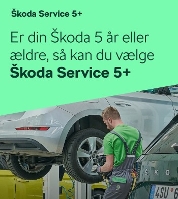  5+ Service 1021