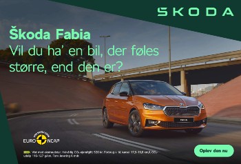  Fabia 0724